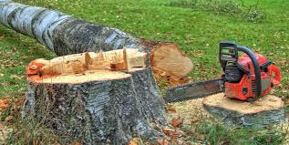 Best Emergency Tree Removal  in Strum, WI